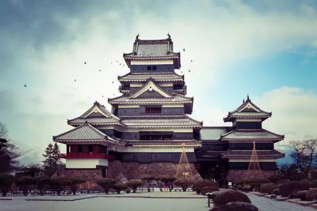 百年匠心，精益溯源——探訪日本百年名企，深究經典管理之道